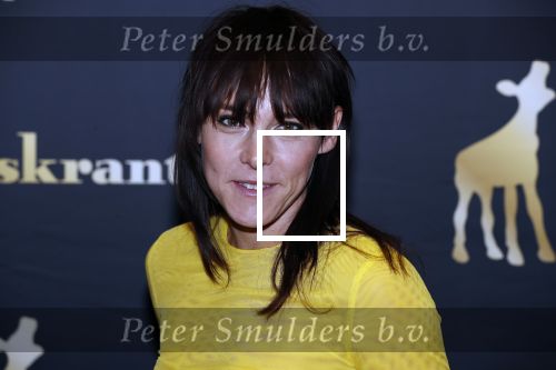Utrecht 27 september 2018
Openingsavond Nederlandse Filmdagen in schouwburg Utrecht. Wende Snijders