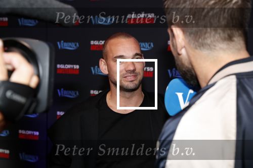 Amsterdam 29 september 2018
Rode loper Glory gala in de Johan Cruijff arena. Wesley Sneijder