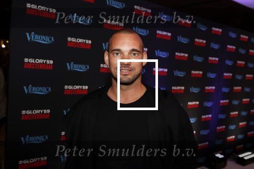 Amsterdam 29 september 2018
Rode loper Glory gala in de Johan Cruijff arena. Wesley Sneijder
