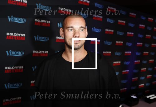 Amsterdam 29 september 2018
Rode loper Glory gala in de Johan Cruijff arena. Wesley Sneijder