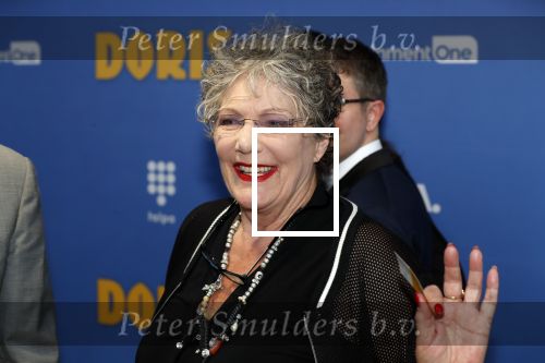 Amsterdam 17 september 2018
Premiere Doris in Tuschinski. De cast bestaat uit oa Tjitske Reidinga Guy Clemens Bracha v Doesburgh Tanik Moree Peter Blok . Willeke v Ammelrooy