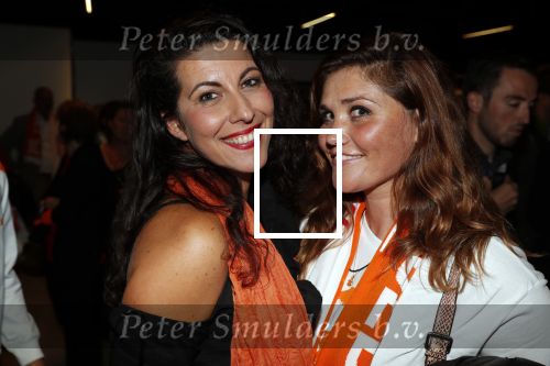 Amsterdam 6 mei 2018
Nederland-Peru 2-1 . Afscheidswedstrijd Wesley Sneijder . Zijn vrouw Yolanthe Sneijder Cabau en zoons Jessey en Xess Xava zijn natuurlijk aanwezig. Zussen Yolanthe