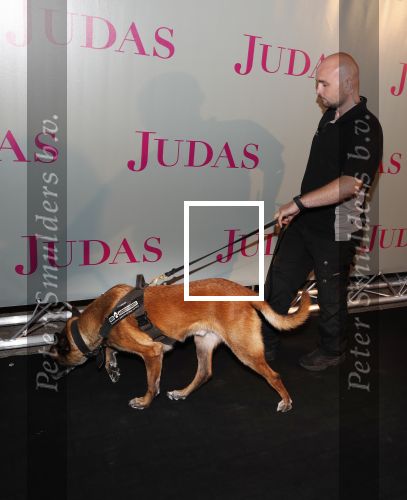 Amsterdam20 september 2018
Premiere Judas in de meervaart. beveiliger met hond