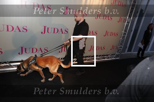 Amsterdam20 september 2018
Premiere Judas in de meervaart. beveiliger met hond