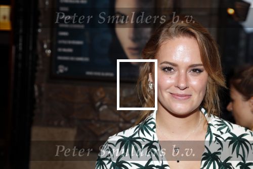 Amsterdam 4 september 2018
Premiere de inspirator in Tuschinki.