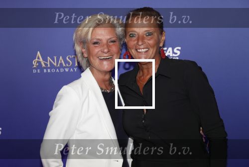 Scheveningen 22 september 2019
Premiere Anastasia in het afas Circustheater. Familie van Albert Verlinde