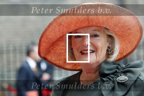 Den Haag 17 september 2019
Prinsjesdag 2019 op het binnenhof.
Staatssecretaris van Justitie en Veiligheid Ankie Broekers-Knol