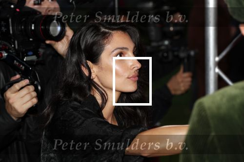 Utrecht 27 september 2019
Premiere Instinct tijdens de utrechtse filmdagen.
Halina Reijn deed de regie en Carice v Houten speelt de hoofdrol. Anna Nooshin voor Vara/BNN