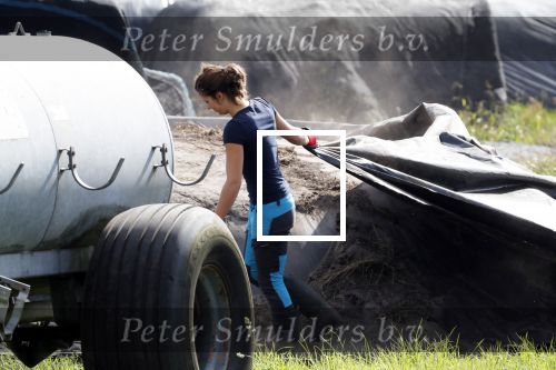 Vries 2 september 2019
Annemiek Koekkoek een van de deelneemsters van Boer zoekt vrouw seizoen 2019/2020. Bij haar huis/boerderij gefotografeerd.
