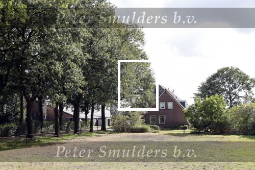 Vries 2 september 2019
Annemiek Koekkoek een van de deelneemsters van Boer zoekt vrouw seizoen 2019/2020. Bij haar huis/boerderij gefotografeerd.