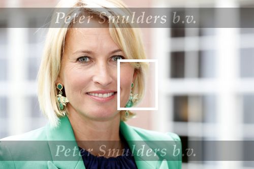 Amsterdam 10 september 2019
Presentatie celebaabs in hotel the Grand met oa Anouk Smulders Frits Sissing Dennis v d Geest Dennis Weening Dominique v Hulst ( zangeres Do) en  Irene moors . Celebabs is een idee van Tim Ouborg en Jeroen v d Boom