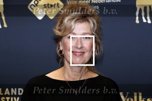 Utrecht 27 september 2019
Premiere Instinct tijdens de utrechtse filmdagen.
Halina Reijn deed de regie en Carice v Houten speelt de hoofdrol. Ariane Schluter