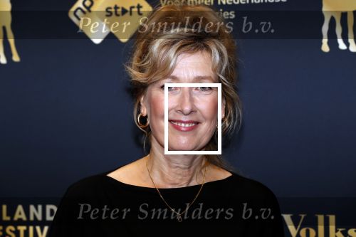 Utrecht 27 september 2019
Premiere Instinct tijdens de utrechtse filmdagen.
Halina Reijn deed de regie en Carice v Houten speelt de hoofdrol. Ariane Schluter