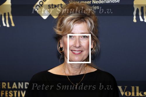 Utrecht 27 september 2019
Premiere Instinct tijdens de utrechtse filmdagen.
Halina Reijn deed de regie en Carice v Houten speelt de hoofdrol. Ariane Schluter