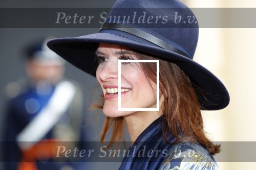 Den Haag 17 september 2019
Prinsjesdag 2019 op het binnenhof.
Staatssecretaris Barbara Visser van Defensie