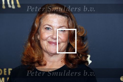 Utrecht 27 september 2019
Premiere Instinct tijdens de utrechtse filmdagen.
Halina Reijn deed de regie en Carice v Houten speelt de hoofdrol. Betty Schuurman