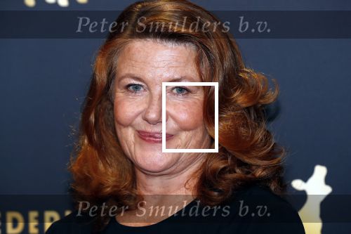 Utrecht 27 september 2019
Premiere Instinct tijdens de utrechtse filmdagen.
Halina Reijn deed de regie en Carice v Houten speelt de hoofdrol. Betty Schuurman