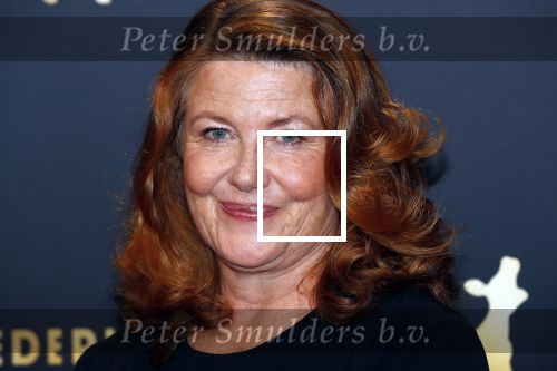 Utrecht 27 september 2019
Premiere Instinct tijdens de utrechtse filmdagen.
Halina Reijn deed de regie en Carice v Houten speelt de hoofdrol. Betty Schuurman