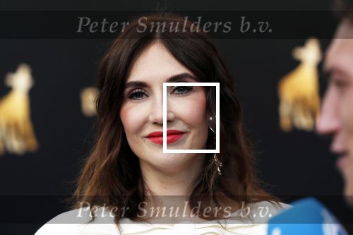 Utrecht 27 september 2019
Premiere Instinct tijdens de utrechtse filmdagen.
Halina Reijn deed de regie en Carice v Houten speelt de hoofdrol. Carice v Houten met tatoo blue