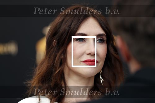 Utrecht 27 september 2019
Premiere Instinct tijdens de utrechtse filmdagen.
Halina Reijn deed de regie en Carice v Houten speelt de hoofdrol. Carice v Houten met tatoo blue