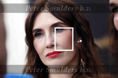 Utrecht 27 september 2019
Premiere Instinct tijdens de utrechtse filmdagen.
Halina Reijn deed de regie en Carice v Houten speelt de hoofdrol. Carice v Houten met tatoo blue