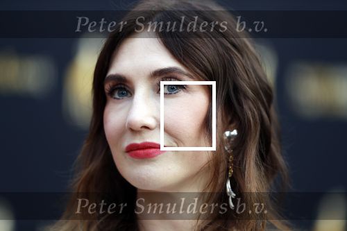 Utrecht 27 september 2019
Premiere Instinct tijdens de utrechtse filmdagen.
Halina Reijn deed de regie en Carice v Houten speelt de hoofdrol. Carice v Houten met tatoo blue