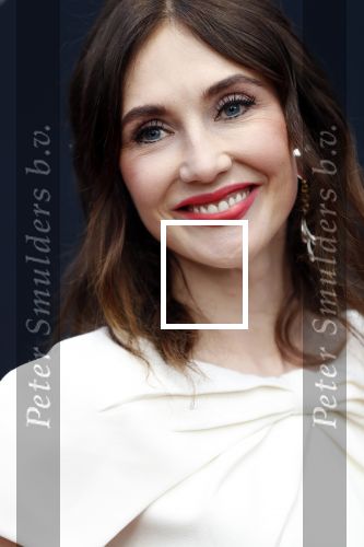Utrecht 27 september 2019
Premiere Instinct tijdens de utrechtse filmdagen.
Halina Reijn deed de regie en Carice v Houten speelt de hoofdrol. Carice v Houten met tatoo blue