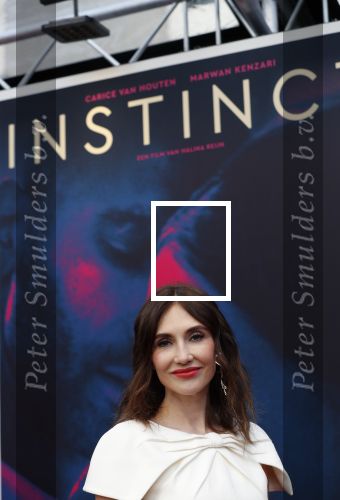 Utrecht 27 september 2019
Premiere Instinct tijdens de utrechtse filmdagen.
Halina Reijn deed de regie en Carice v Houten speelt de hoofdrol. Carice v Houten met tatoo blue