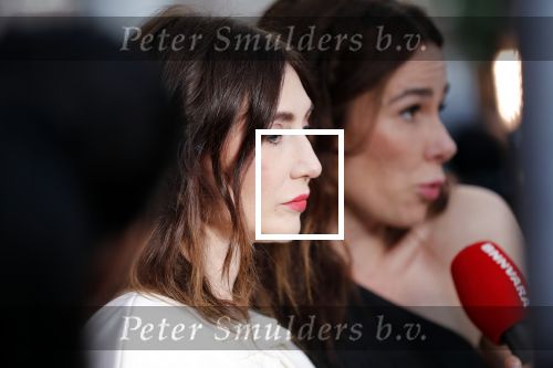 Utrecht 27 september 2019
Premiere Instinct tijdens de utrechtse filmdagen.
Halina Reijn deed de regie en Carice v Houten speelt de hoofdrol. Carice v Houten met tatoo blue