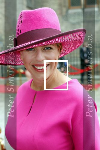 Den Haag 17 september 2019
Prinsjesdag 2019 op het binnenhof.
Minister van Landbouw, Natuur en Voedselkwaliteit en vice-premier Carola Schouten (ChristenUnie)