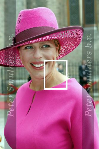 Den Haag 17 september 2019
Prinsjesdag 2019 op het binnenhof.
Minister van Landbouw, Natuur en Voedselkwaliteit en vice-premier Carola Schouten (ChristenUnie)