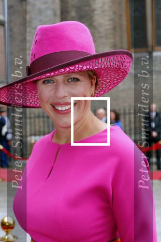 Den Haag 17 september 2019
Prinsjesdag 2019 op het binnenhof.
Minister van Landbouw, Natuur en Voedselkwaliteit en vice-premier Carola Schouten (ChristenUnie)