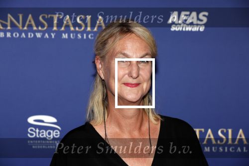 Scheveningen 22 september 2019
Premiere Anastasia in het afas Circustheater. Christine v Stralen
