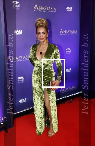 Scheveningen 22 september 2019
Premiere Anastasia in het afas Circustheater.
Connie Witteman met sieraden maker