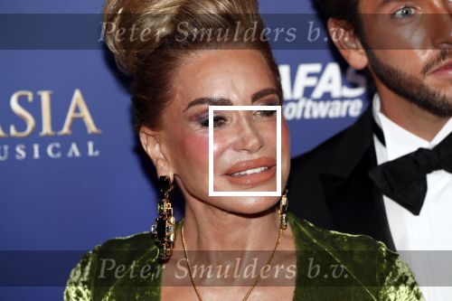 Scheveningen 22 september 2019
Premiere Anastasia in het afas Circustheater.
Connie Witteman met sieraden maker