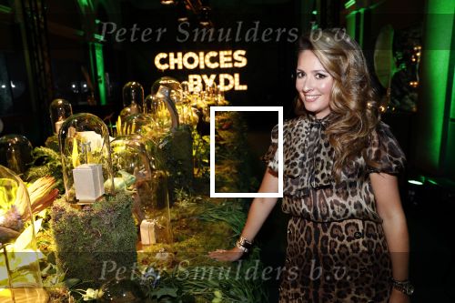 Amsterdam 9 september 2019
10 jarig bestaan van Choices by Deborah Leeser ( Gassan Diamonds) bij artis.