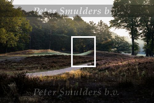 Valkenswaard, 20 September 2019
Eindhovensche Golf, Ven, Clubhuis