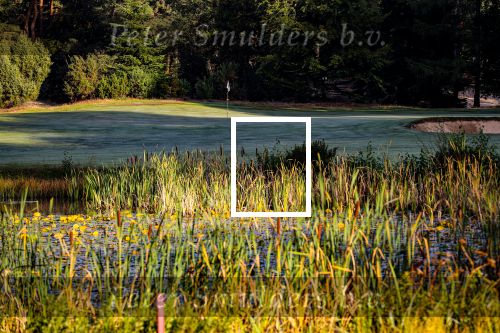 Valkenswaard, 20 September 2019
Eindhovensche Golf, Ven, Clubhuis
