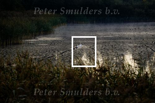 Valkenswaard, 20 September 2019
Eindhovensche Golf, Ven, Clubhuis