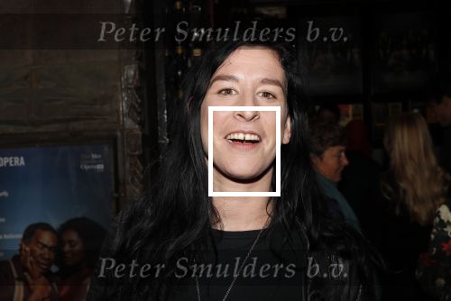 Amsterdam 11 augustus 2019
Premiere Downtown Abbey in pathe Tuschinski. Elle Bandita