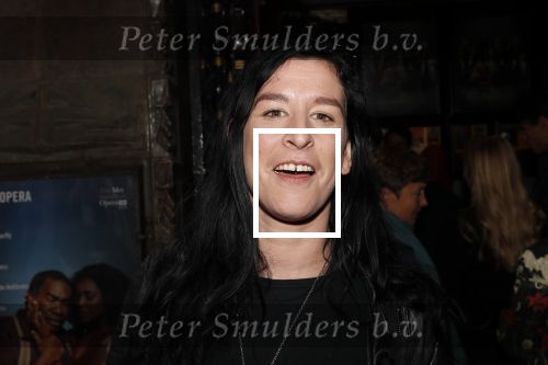 Amsterdam 11 augustus 2019
Premiere Downtown Abbey in pathe Tuschinski. Elle Bandita