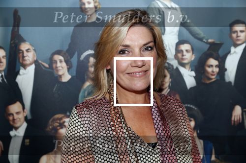 Amsterdam 11 augustus 2019
Premiere Downtown Abbey in pathe Tuschinski. Gallyon v Vessem kwam met Selma v Dijk en Jaco Peeringa