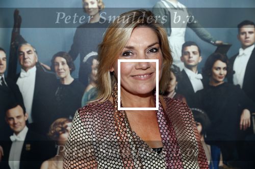 Amsterdam 11 augustus 2019
Premiere Downtown Abbey in pathe Tuschinski. Gallyon v Vessem kwam met Selma v Dijk en Jaco Peeringa