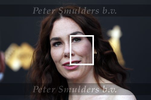 Utrecht 27 september 2019
Premiere Instinct tijdens de utrechtse filmdagen.
Halina Reijn deed de regie en Carice v Houten speelt de hoofdrol.