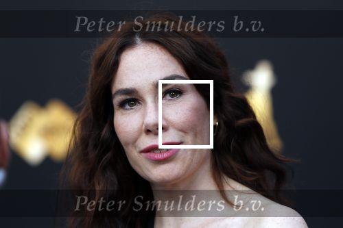 Utrecht 27 september 2019
Premiere Instinct tijdens de utrechtse filmdagen.
Halina Reijn deed de regie en Carice v Houten speelt de hoofdrol.