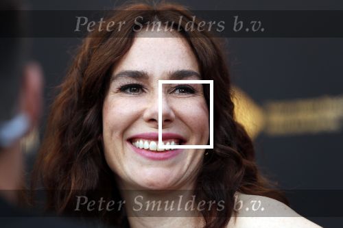 Utrecht 27 september 2019
Premiere Instinct tijdens de utrechtse filmdagen.
Halina Reijn deed de regie en Carice v Houten speelt de hoofdrol.