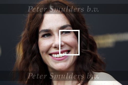 Utrecht 27 september 2019
Premiere Instinct tijdens de utrechtse filmdagen.
Halina Reijn deed de regie en Carice v Houten speelt de hoofdrol.