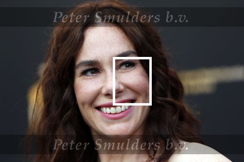 Utrecht 27 september 2019
Premiere Instinct tijdens de utrechtse filmdagen.
Halina Reijn deed de regie en Carice v Houten speelt de hoofdrol.