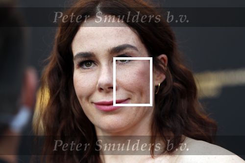 Utrecht 27 september 2019
Premiere Instinct tijdens de utrechtse filmdagen.
Halina Reijn deed de regie en Carice v Houten speelt de hoofdrol.