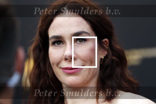Utrecht 27 september 2019
Premiere Instinct tijdens de utrechtse filmdagen.
Halina Reijn deed de regie en Carice v Houten speelt de hoofdrol.